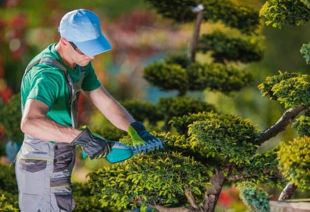 Giardiniere milano servizi professionali di giardinaggio Imprese giardinaggio milano