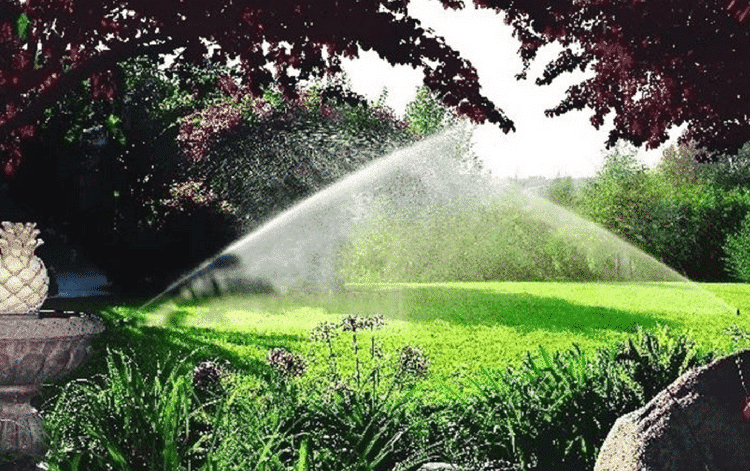 Al momento stai visualizzando Irrigatore a scomparsa per giardini