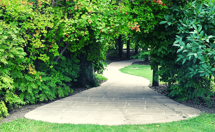 Al momento stai visualizzando Giardini pavimentati: come valorizzarli