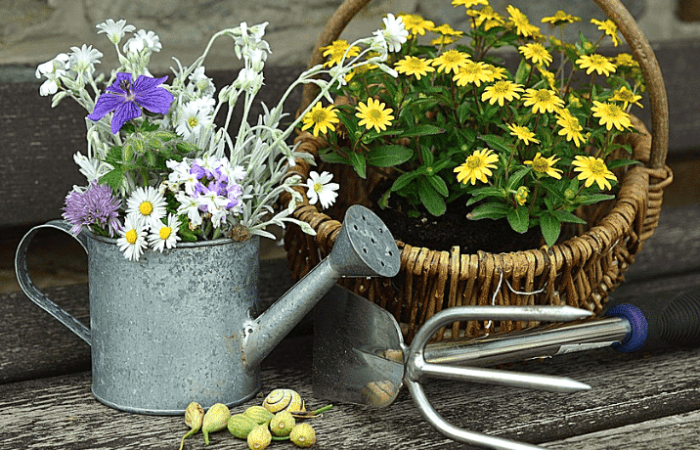 Consigli di giardinaggio: rimedi naturali