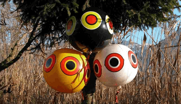 Dissuasori per Uccelli in Agricoltura: Palloni Anti Piccioni