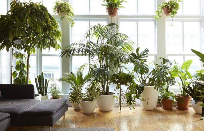 Arredo casa: 5 idee per disporre le piante in modo creativo
